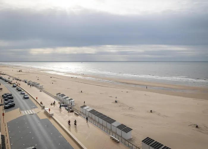 Bel Air - Modern With Seaview T8